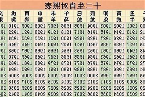 1995 年生肖